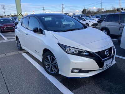 2019 Nissan Leaf - Thumbnail