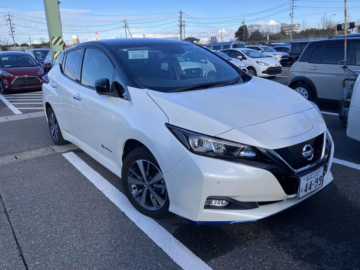 2019 Nissan Leaf