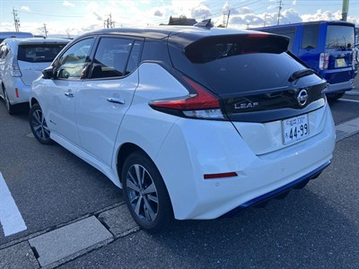 2019 Nissan Leaf - Thumbnail